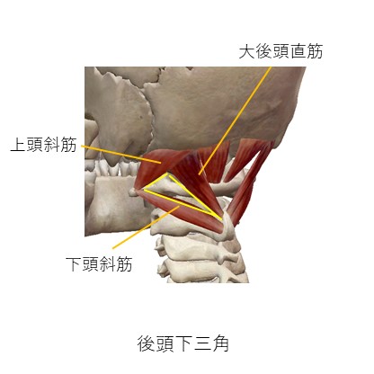 後頭下三角