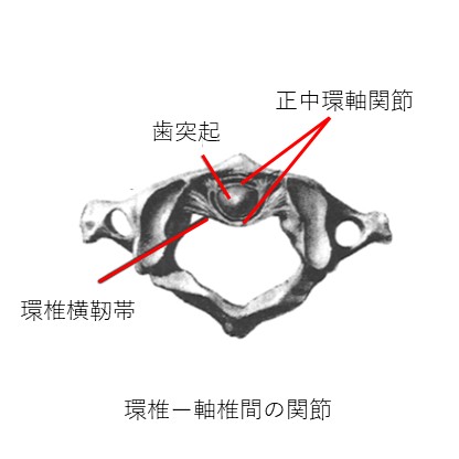 環軸関節