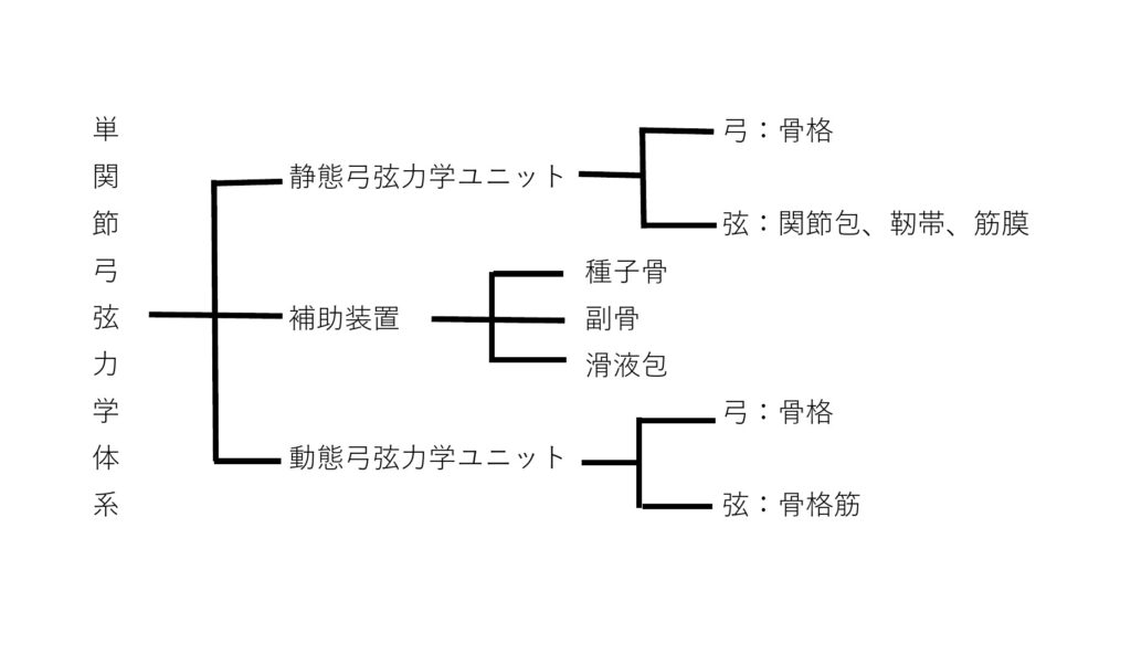 人体弓弦力学体系 | 軟部組織治療の研究室