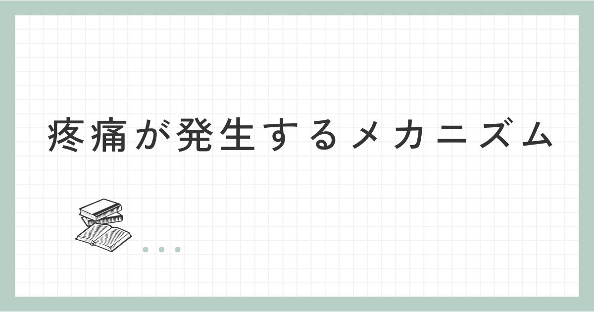 疼痛が発生するメカニズム