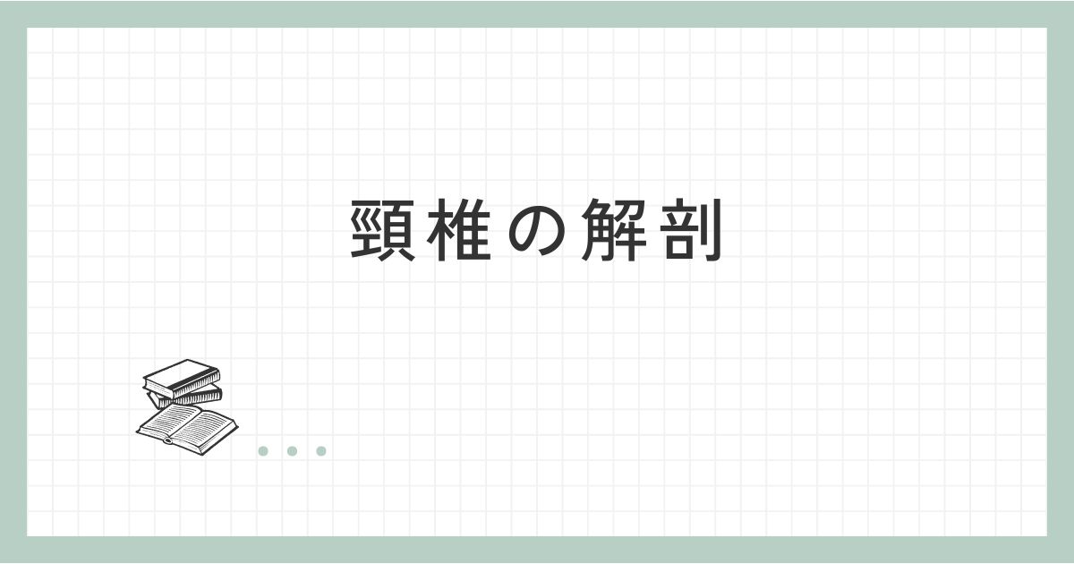 頸椎の解剖